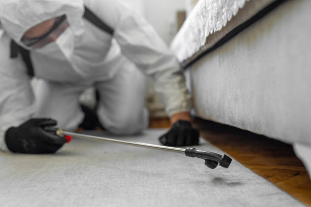 Professional Termite Control technician working in Orange County County, VT